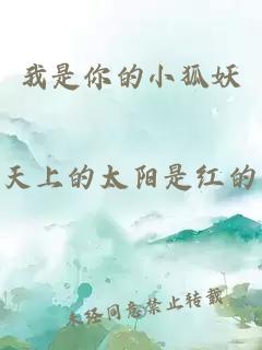 我是你的小狐妖